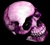 Viola Skull